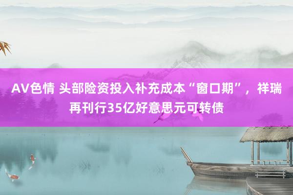 AV色情 头部险资投入补充成本“窗口期”，祥瑞再刊行35亿好意思元可转债