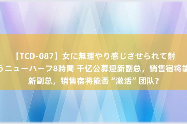 【TCD-087】女に無理やり感じさせられて射精までしてしまうニューハーフ8時間 千亿公募迎新副总，销售宿将能否“激活”团队？