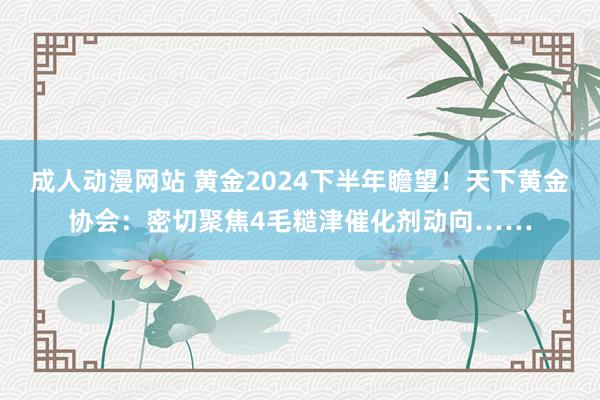 成人动漫网站 黄金2024下半年瞻望！天下黄金协会：密切聚焦4毛糙津催化剂动向……