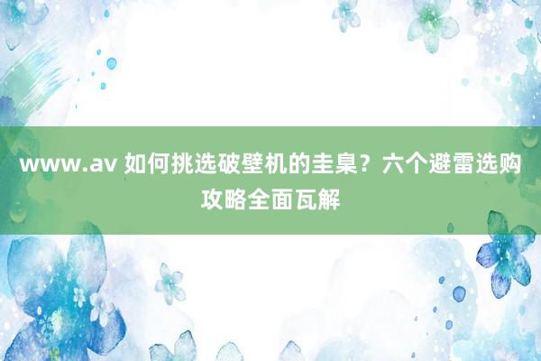 www.av 如何挑选破壁机的圭臬？六个避雷选购攻略全面瓦解