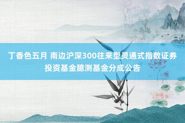 丁香色五月 南边沪深300往来型灵通式指数证券投资基金臆测基金分成公告