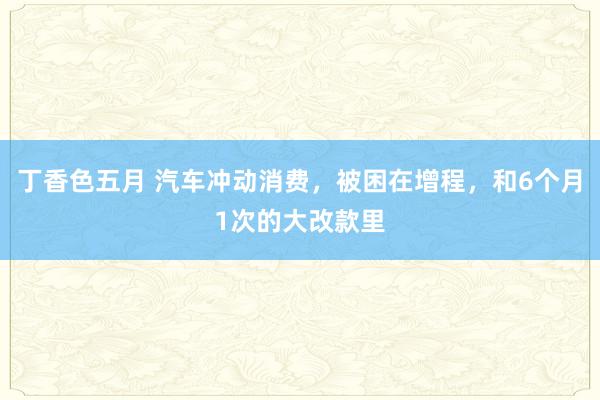 丁香色五月 汽车冲动消费，被困在增程，和6个月1次的大改款里