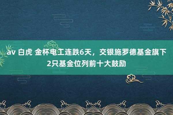 av 白虎 金杯电工连跌6天，交银施罗德基金旗下2只基金位列前十大鼓励