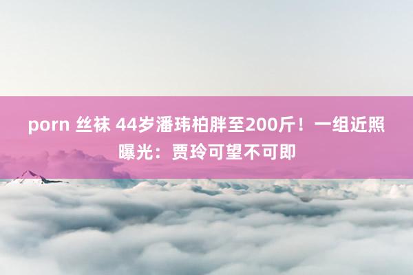 porn 丝袜 44岁潘玮柏胖至200斤！一组近照曝光：贾玲可望不可即