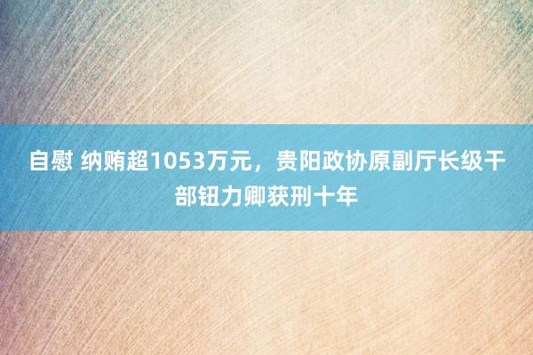 自慰 纳贿超1053万元，贵阳政协原副厅长级干部钮力卿获刑十年