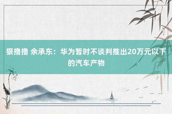 狠撸撸 余承东：华为暂时不谈判推出20万元以下的汽车产物