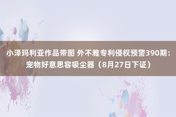 小泽玛利亚作品带图 外不雅专利侵权预警390期：宠物好意思容吸尘器（8月27日下证）