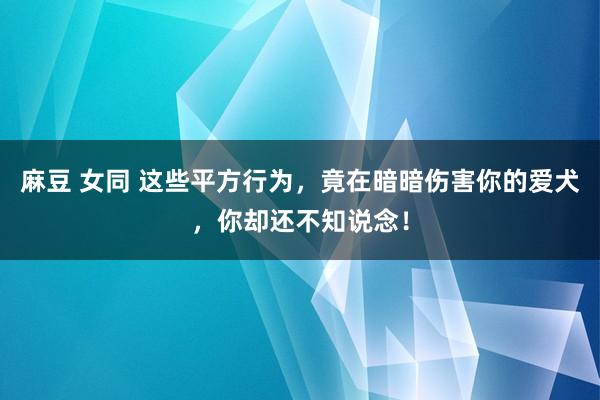 麻豆 女同 这些平方行为，竟在暗暗伤害你的爱犬，你却还不知说念！