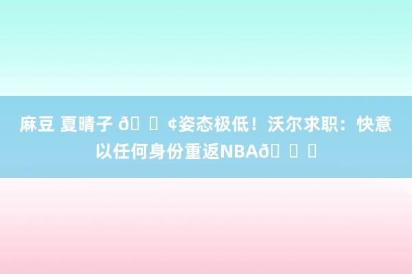 麻豆 夏晴子 😢姿态极低！沃尔求职：快意以任何身份重返NBA🙏