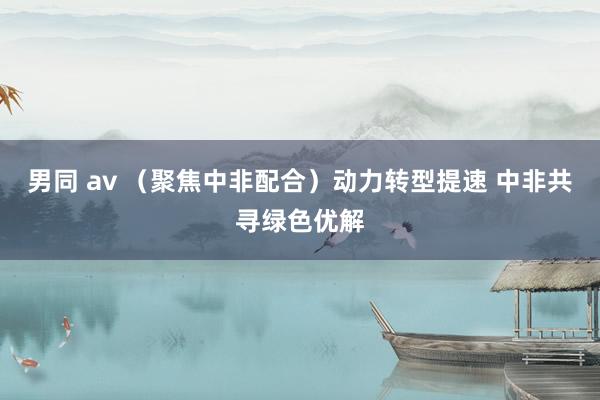 男同 av （聚焦中非配合）动力转型提速 中非共寻绿色优解