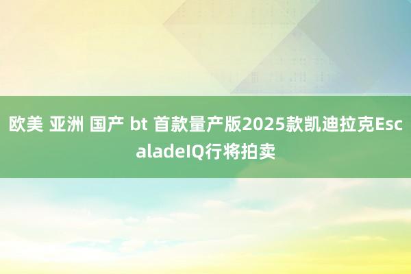 欧美 亚洲 国产 bt 首款量产版2025款凯迪拉克EscaladeIQ行将拍卖