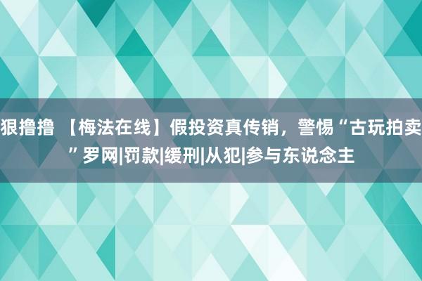 狠撸撸 【梅法在线】假投资真传销，警惕“古玩拍卖”罗网|罚款|缓刑|从犯|参与东说念主