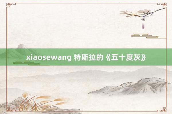 xiaosewang 特斯拉的《五十度灰》