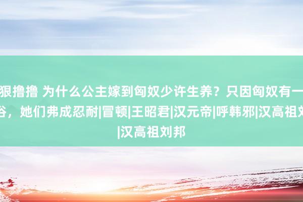 狠撸撸 为什么公主嫁到匈奴少许生养？只因匈奴有一习俗，她们弗成忍耐|冒顿|王昭君|汉元帝|呼韩邪|汉高祖刘邦