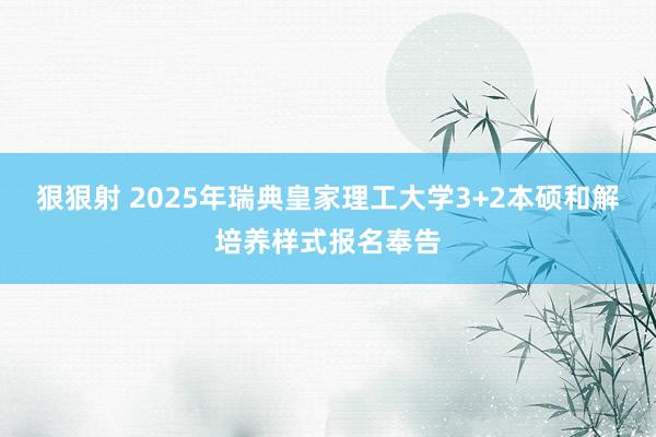 狠狠射 2025年瑞典皇家理工大学3+2本硕和解培养样式报名奉告